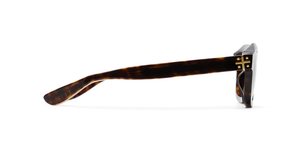 RAY Havana