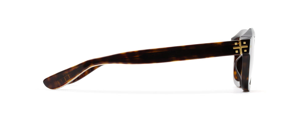 RAY Havana Optical