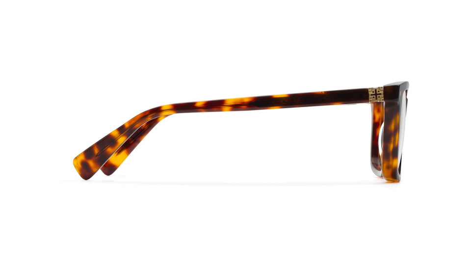 CLARK Tortoise