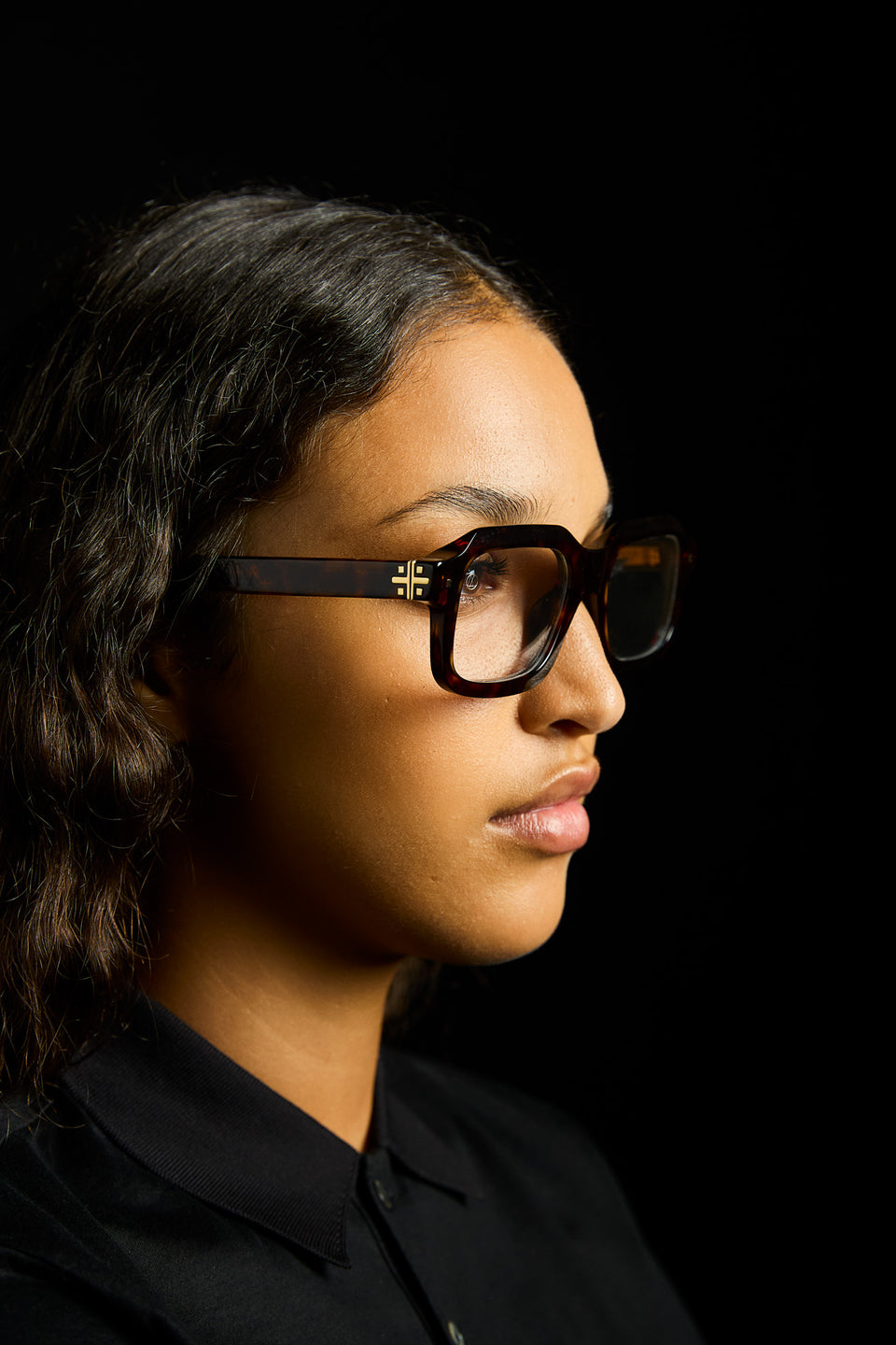 RAY Havana Optical