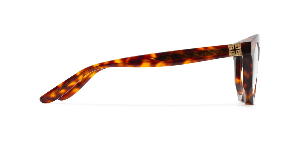 ALLEN Havana